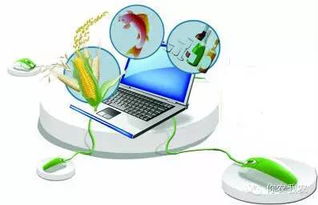 你農(nóng)我農(nóng) 互聯(lián)網(wǎng)銷售模式重塑農(nóng)產(chǎn)品產(chǎn)業(yè)生態(tài)